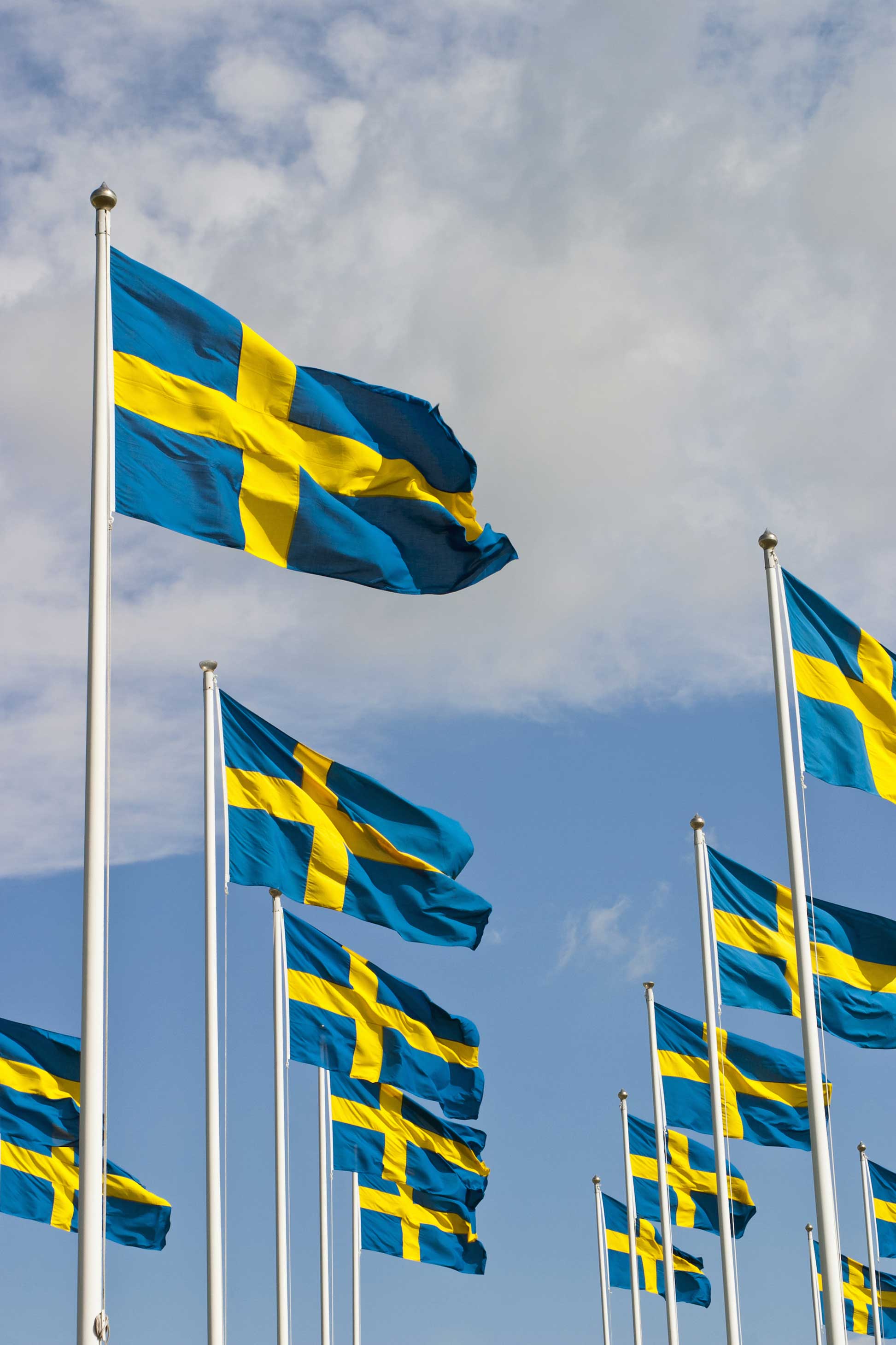 Svenska flaggdagar